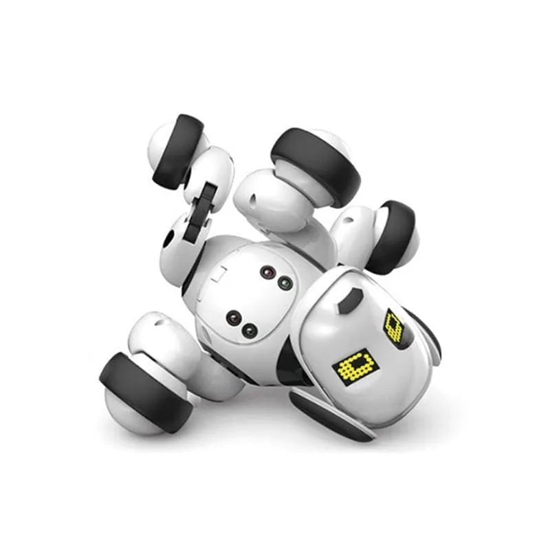 Chip Robot Dog