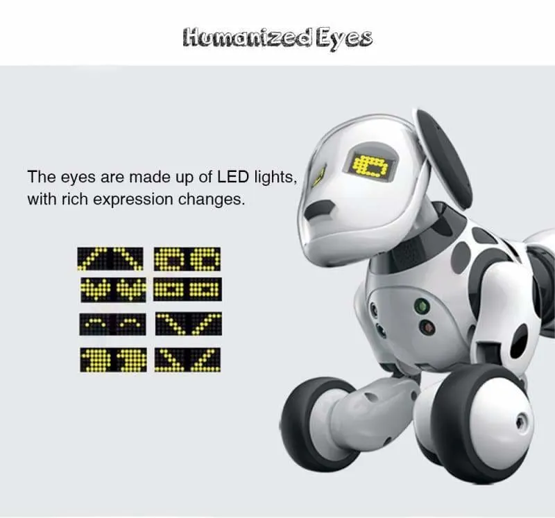 Chip Robot Dog