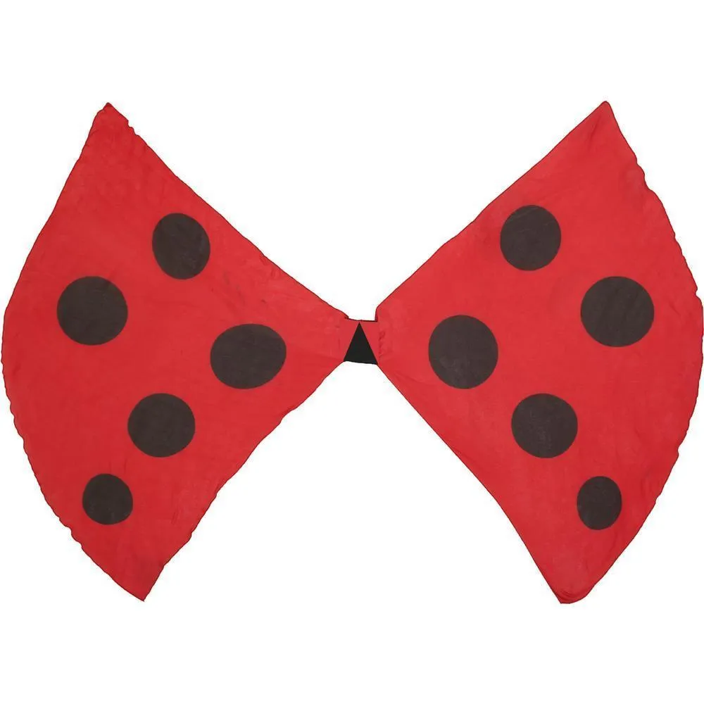 Ladybug Wings Child