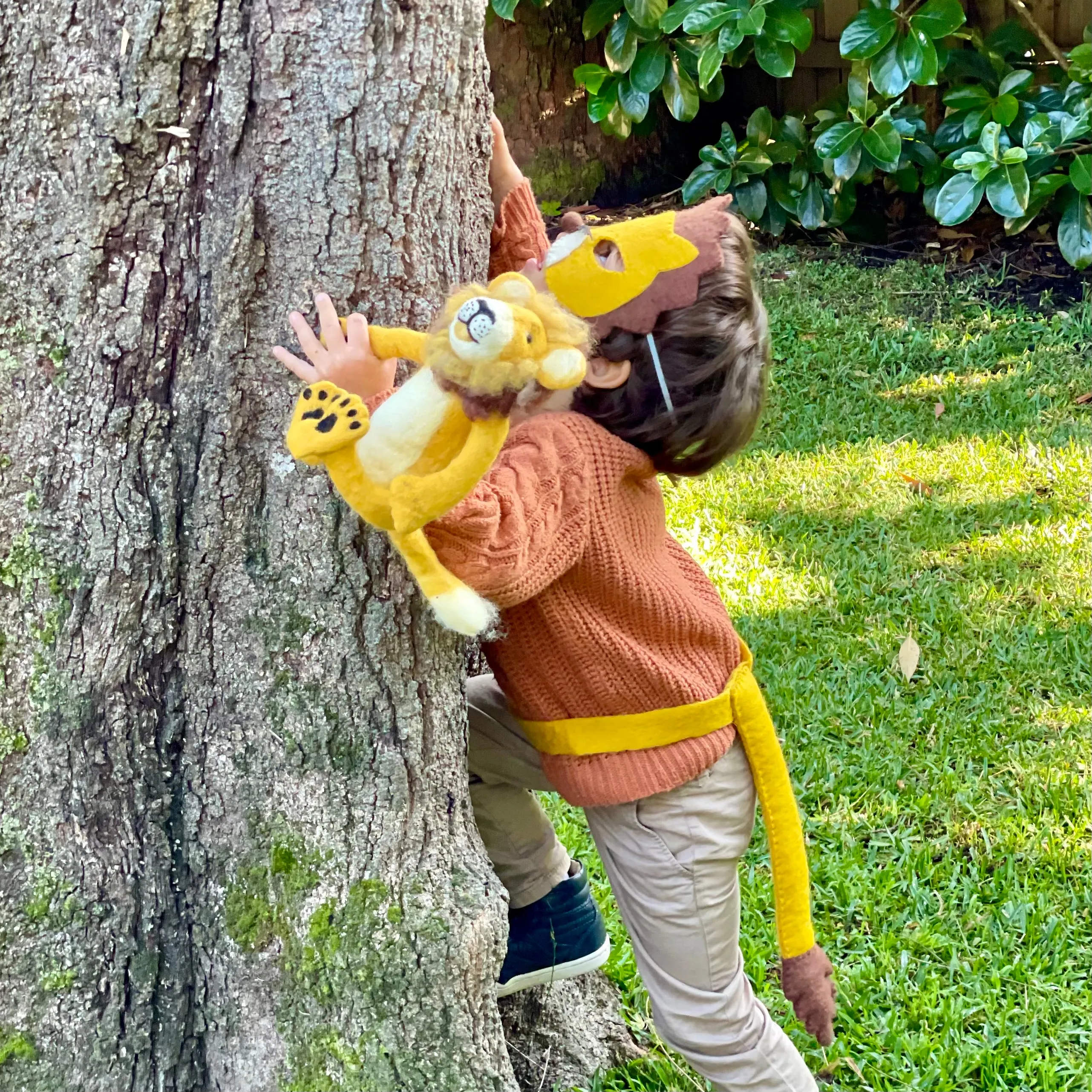 Lion mask and tail set