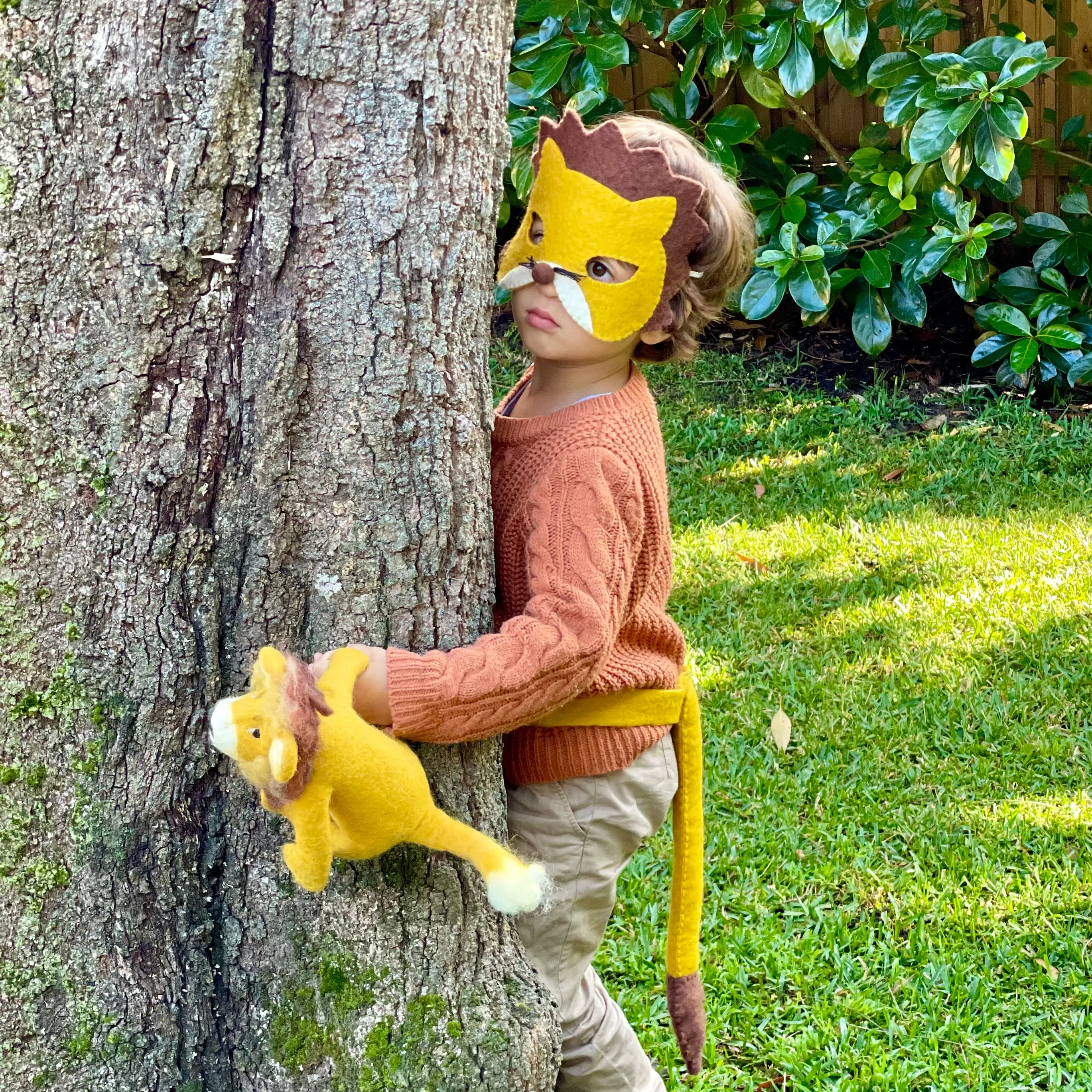 Lion mask and tail set