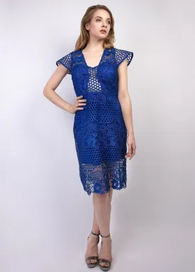 Metallic lace fit & flare dress